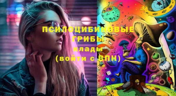 гашик Карпинск