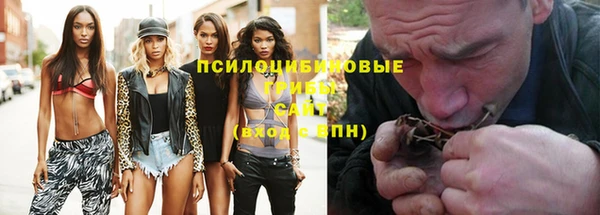 МДПВ Вяземский