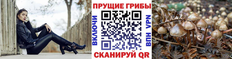 Псилоцибиновые грибы Magic Shrooms  Ирбит 
